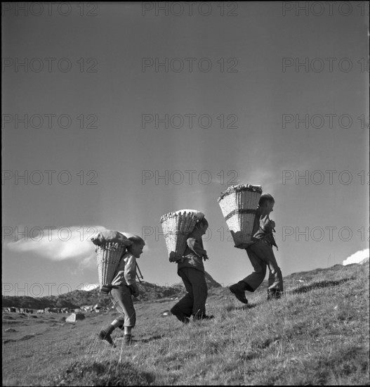 Farmer boys with backpack baskets, Bettmeralp 1952