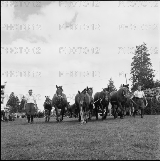 53rd Marché-Concours Saignelégier, parade, 1956