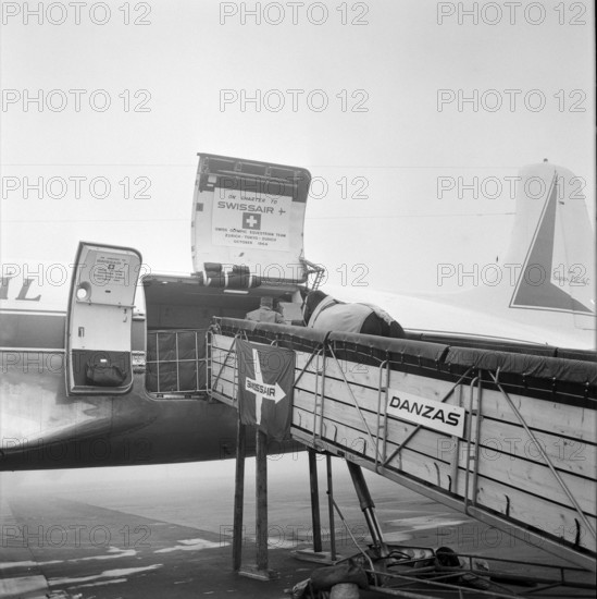 Olympic Games Tokyo 1964: departure of Swiss riding team, Zurich-Kloten airport; wolf