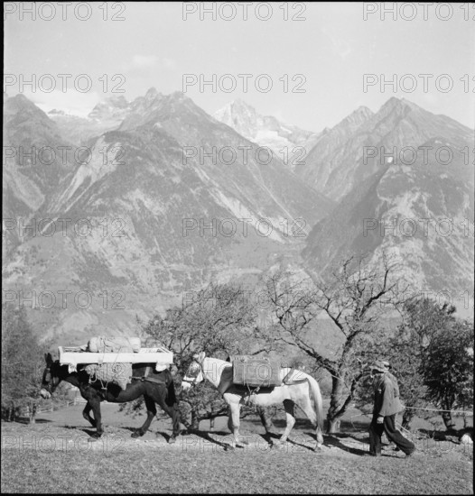 Men with Packhorses, Eischoll, 1945