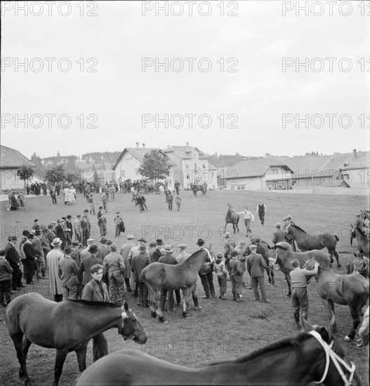 38th Marché Concours Saignelégier, 1941