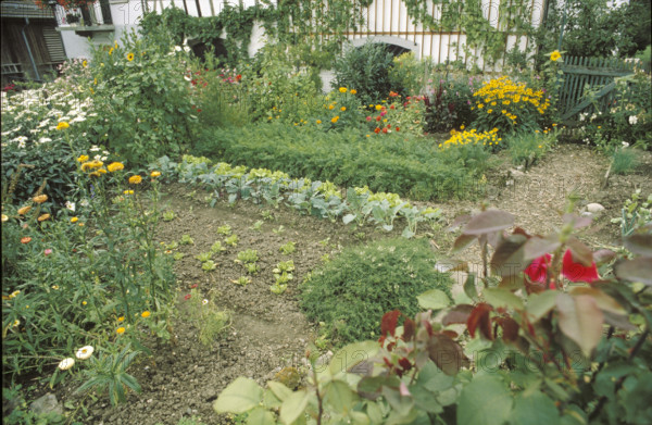 Flower and vegetable garden, biological plants