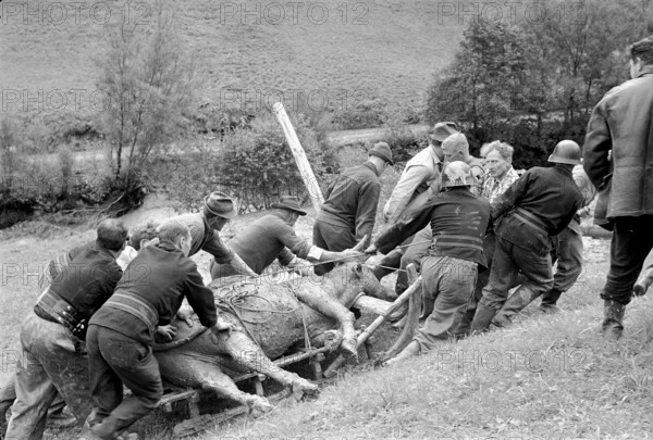 Landslide, Marbach LU 1969: recovering a dead cow