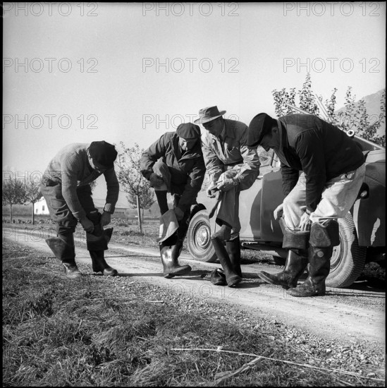 Electric fishing in Valais, rubber boots for isolation, 1956