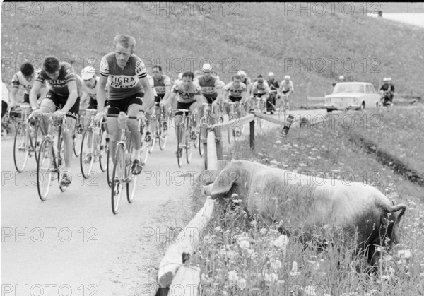 Tour de Suisse 1968: Robert Hagmann