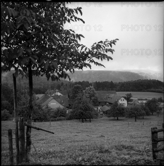 Rossberg near Kemptthal 1958