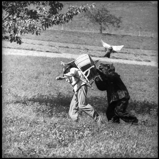 Bear hunting in Konolfingen, 1958