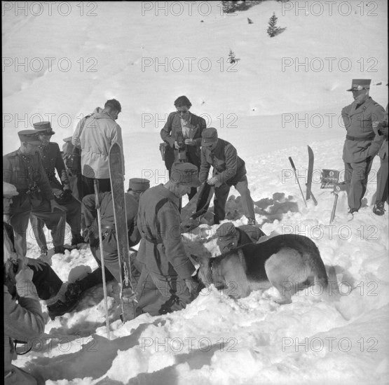 Soldiers at search training with avalanche dogs, Grindelwald 1951