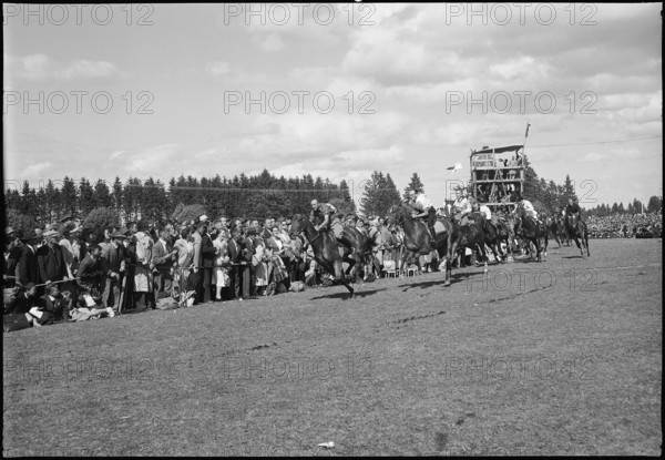 49th Marché Concours Saignelégier, 1952