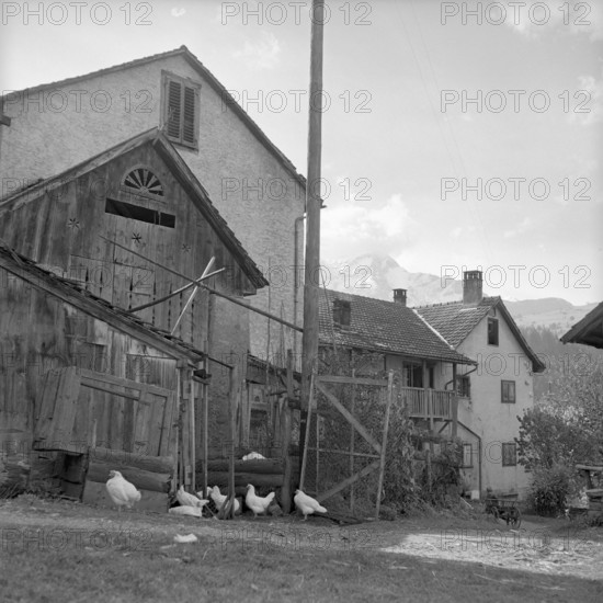 Houses in Sils-Albula, 1952