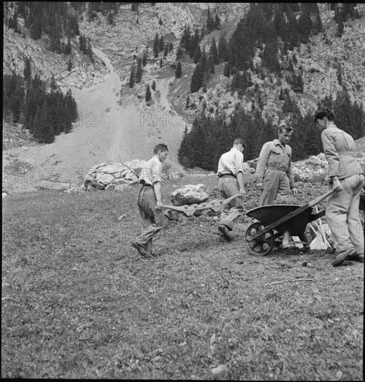 WW 2: farming camp; apprentices clearing a mountain pasture, 1942