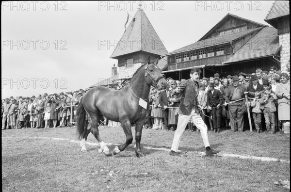 62nd Marché-Concours Saignelégier, presentation, 1965