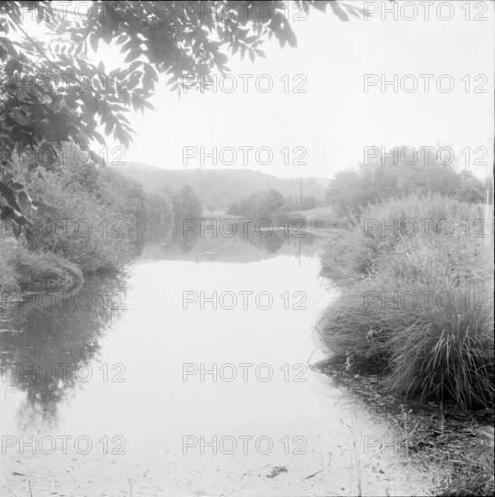 Dietikon; trees reflecting on water; marble pond; 1961