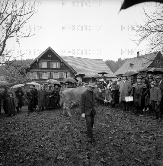 Kirchberg, farm at auction, 1965