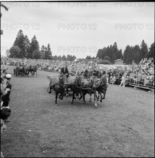 53rd Marché-Concours Saignelégier, chariot race, 1956