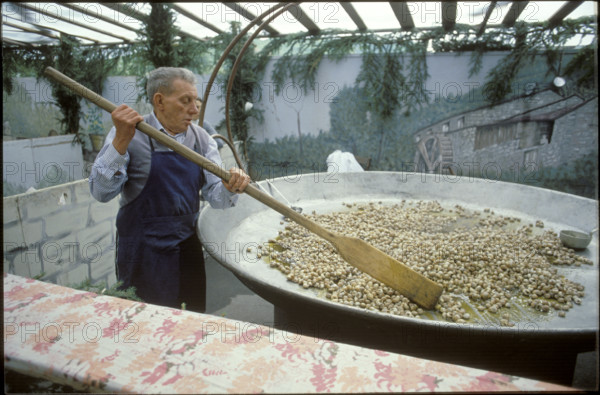 Preparation of snails at Snail festival in Molini di Triora