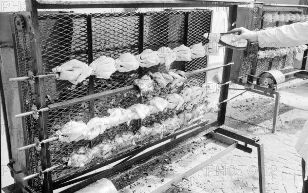 62nd Marché-Concours Saignelégier, chicken on skewer, 1965