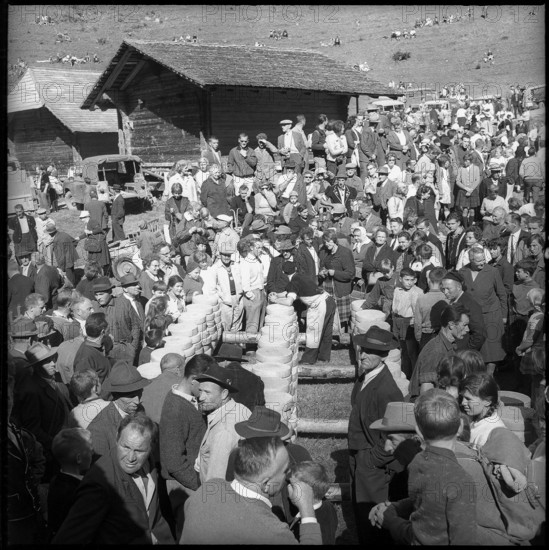 Distribution of cheese in the Justistal Valley, 1964