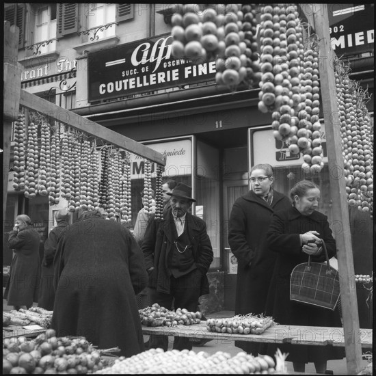 Onion Market, Berne 1958