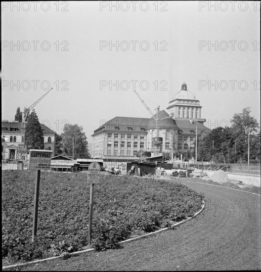 Potato field close to the University ca. 1940
