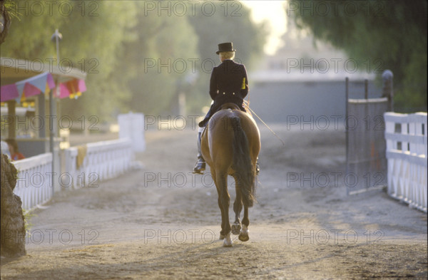 Olympic Games Los Angeles 1984: Christine Stückelberger and Tanzanite