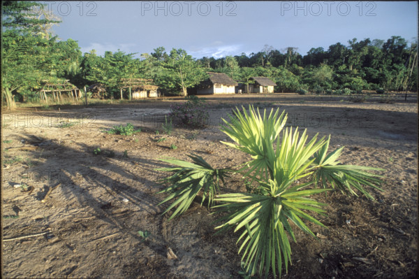 Village on Wetar island, Indonesia, 1986