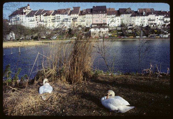 Wil (SG) and city pond 1984