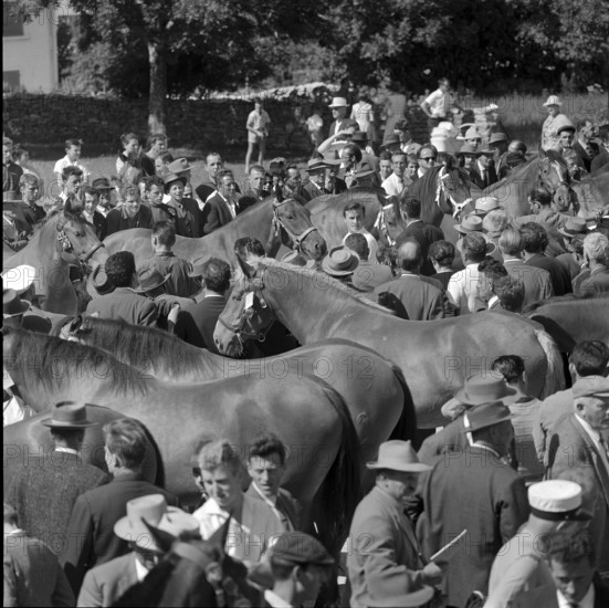 60th Marché Concours Saignelégier, 1963