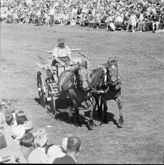 60th Marché Concours Saignelégier, 1963