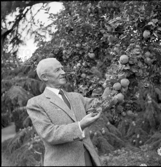 General Guisan in his garden, 1954