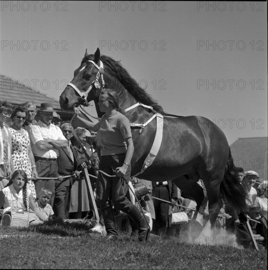 60th Marché Concours Saignelégier, 1963