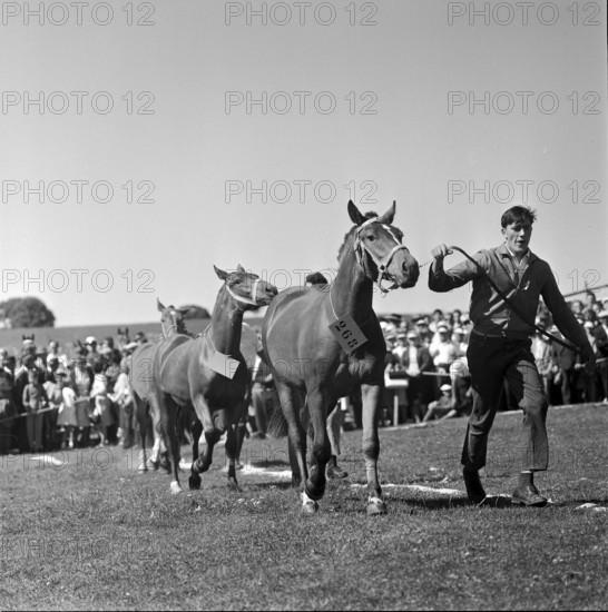 60th Marché Concours Saignelégier, 1963