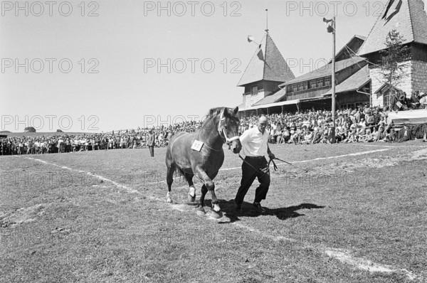 60th Marché Concours Saignelégier, 1963