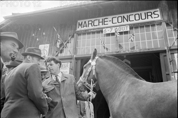 63rd Marché-Concours Saignelégier, Halle Cantine, 1966