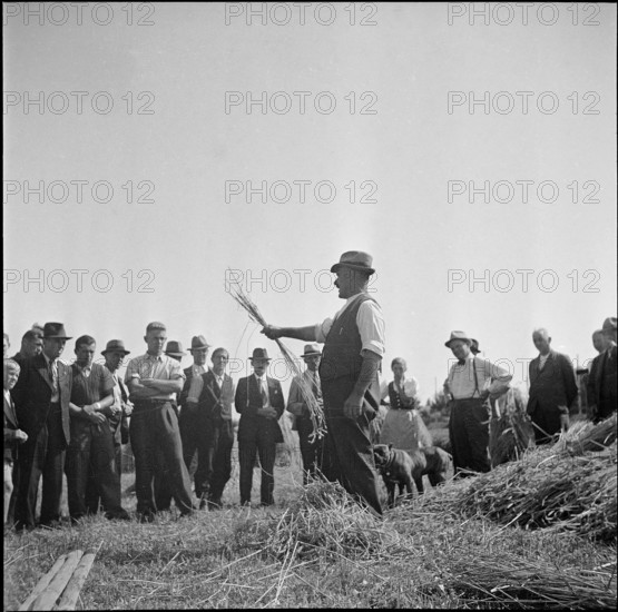 WW 2: grain crop, harvest, instructor, Strickhof 1940