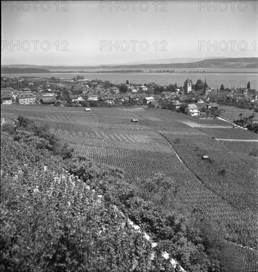 Winegrowers village Twann, 1947