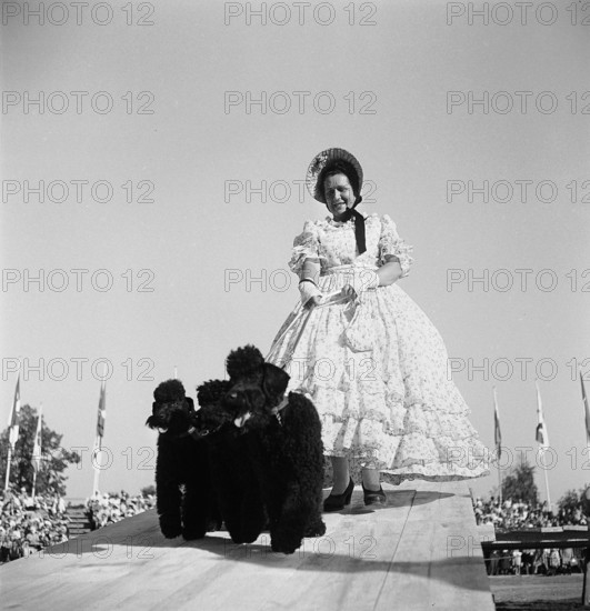 Züka 1947: Dog Show