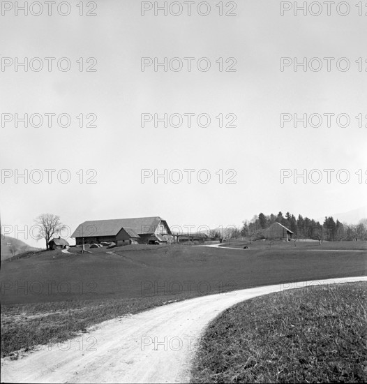 Illens FR: farm, 1952