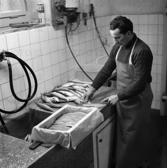 Preparing whitefish at the Lake Constance, 1957