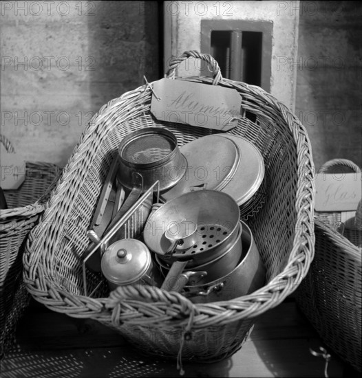 Gathering natural produce for Swiss donation, 1945