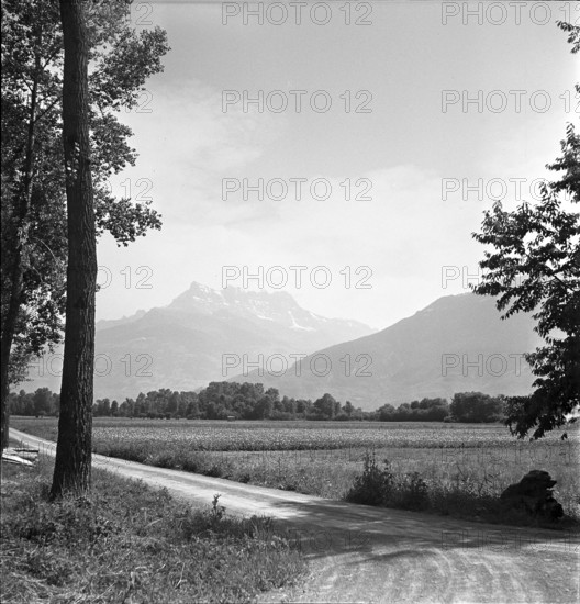 Landscape near Vouvry 1952