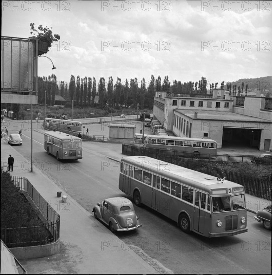 Buses of the VBZ, 1952