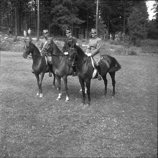 Olympic Games Helsinki 1952: Team competition; the Swedes are champions
