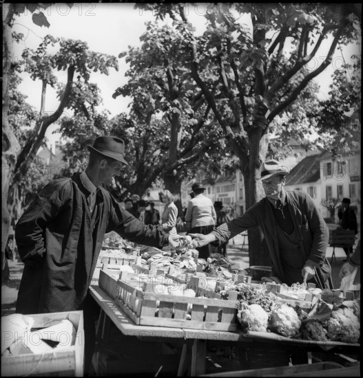 On the Market in Bulle, 1946