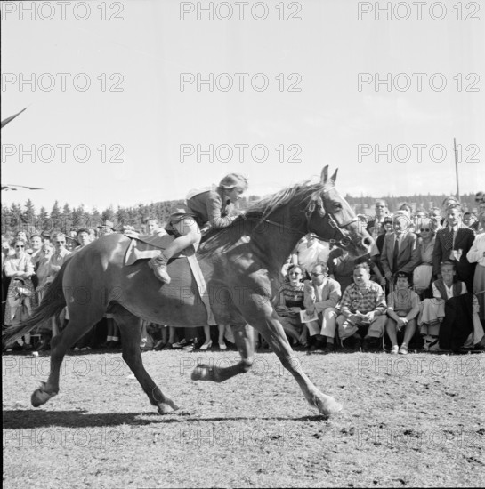 48th Marché-Concours Saignelégier, Aimée Scheffel, 1951