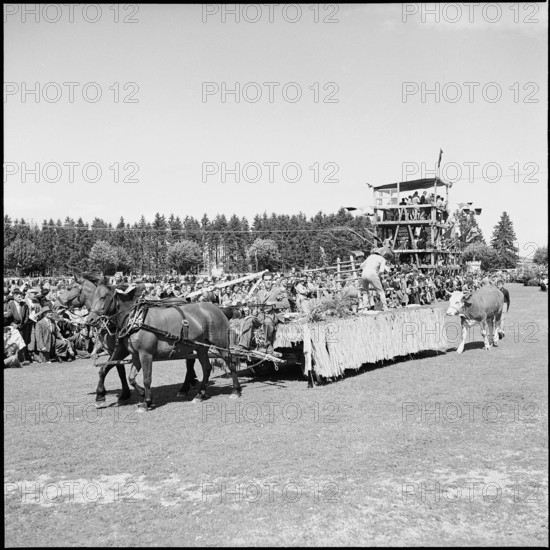 49th Marché Concours Saignelégier, 1952