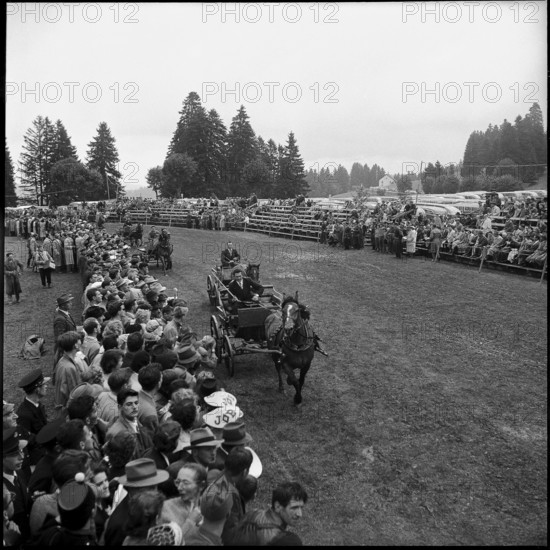 52nd Marché-Concours Saignelégier, one-horse-carriage race, 1955