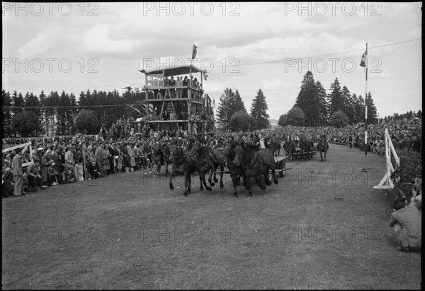 49th Marché-Concours Saignelégier, four-in-hand chariot race, 1952