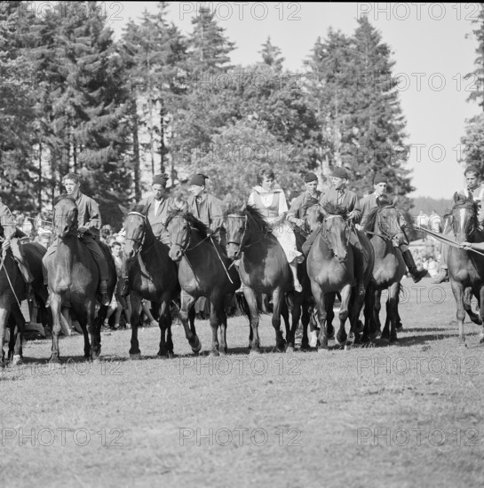 60th Marché Concours Saignelégier, 1963