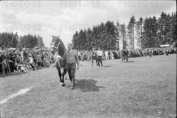 61st Marché Concours Saignelégier, 1964